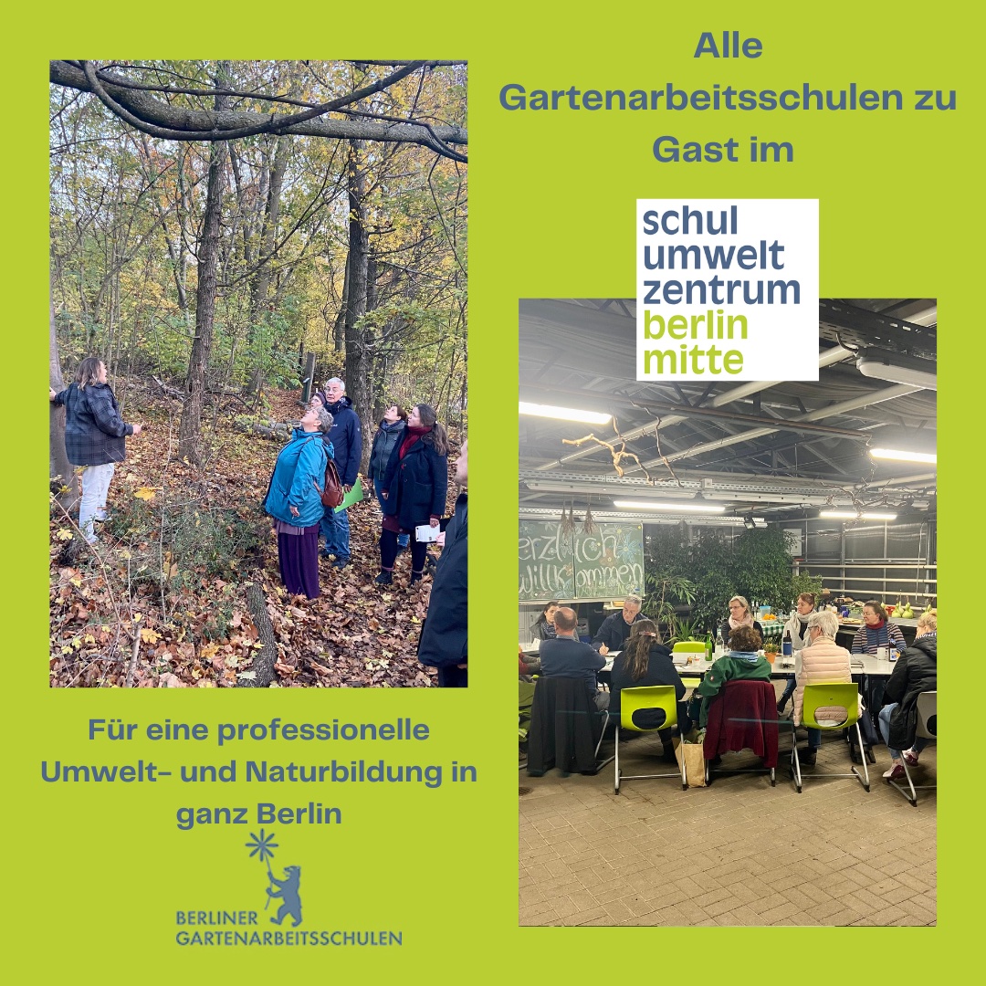 agentur für arbeit berlin mitte termin
